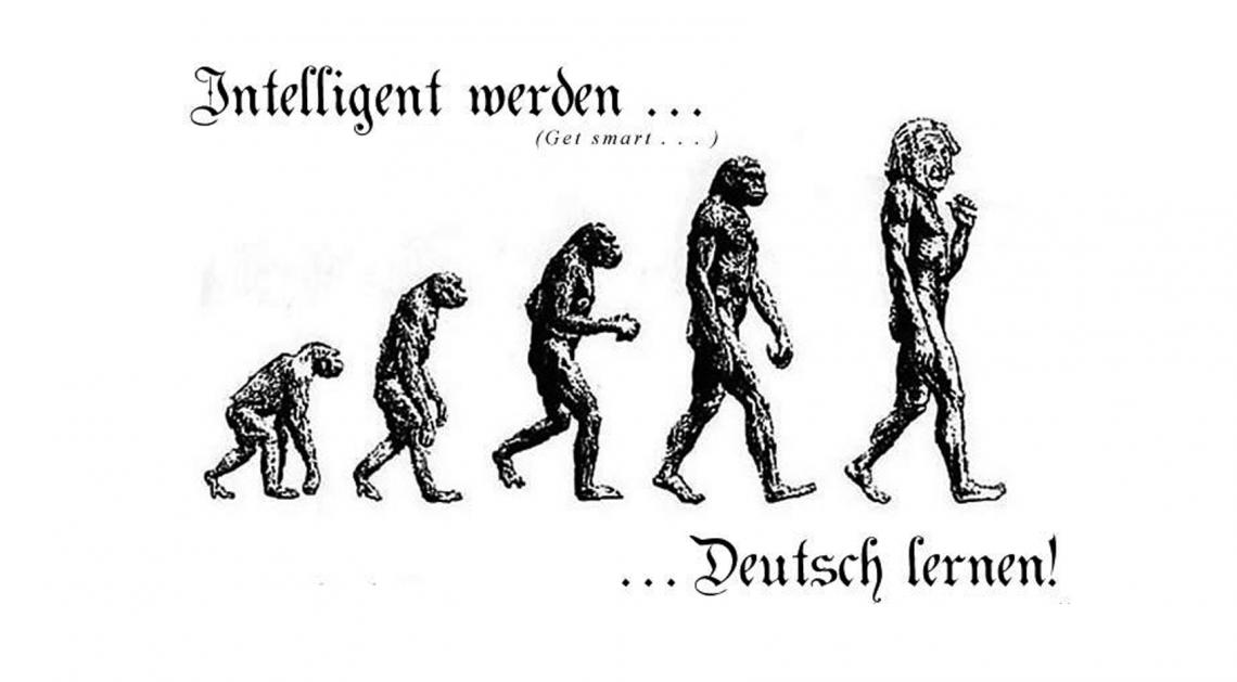 Német törzsfejlődés majomtól Einsteinig
