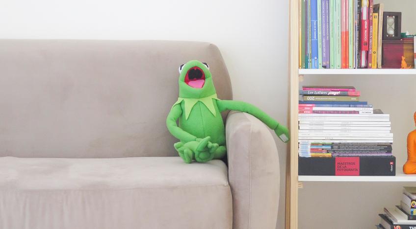 kermti frog kanapén nevet vicc nyelvtanulás