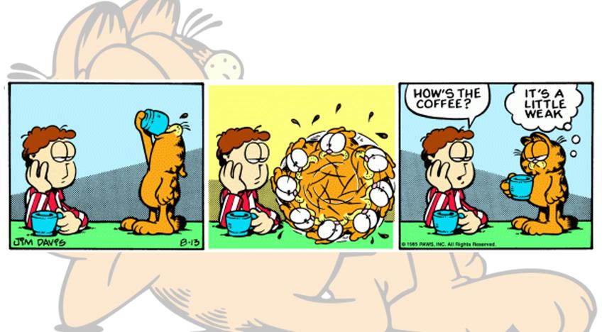 garfield picture story 