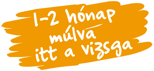 Felkészítő anyagok 1-2 hónappal a vizsga előtt