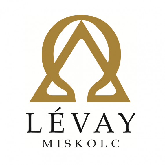 Lévay József Református Gimnázium és Diákotthon logo